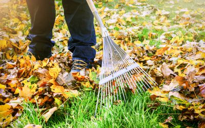 Is Returning to Yard Work or Exercise Causing You Pain?